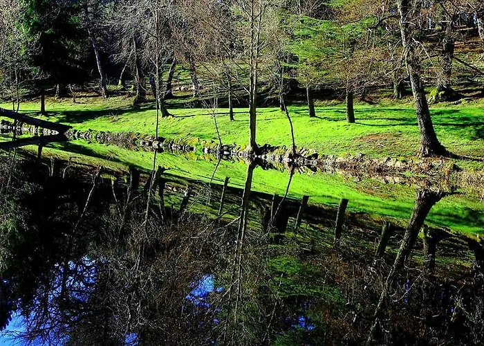 Appartement La Paloma